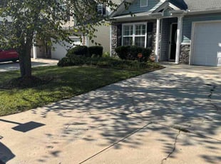 Bonnie H.'s turf care service result