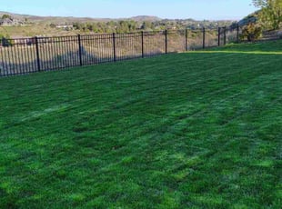 Ashley M.'s grass maintenance service result