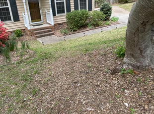 Karen H.'s Bush Trimming service result