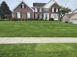 Paul W.'s lawn service service result