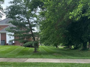 Marvin M.'s lawn care services service result