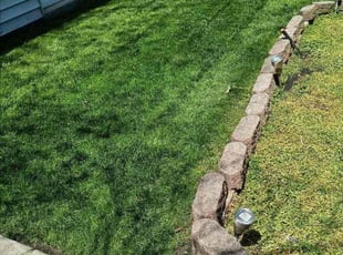 Adam M.'s lawn maintenance service result