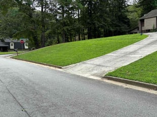 Sherry W.'s lawn care service result
