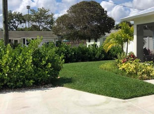 Jay L.'s turf maintenance service result