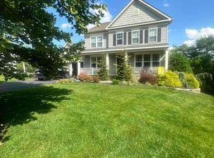 Doug D.'s turf care service result