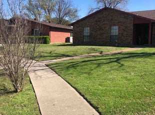 Lynette S.'s turf maintenance service result