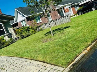 James M.'s grass maintenance service result