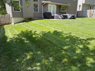 Hillary B.'s grass cutting service result