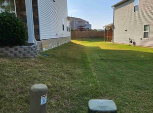 Carissa D.'s grass maintenance service result