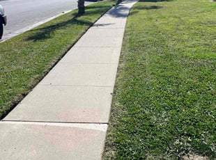 Del C.'s lawn care services service result