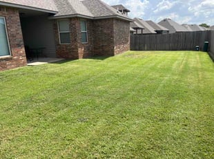 Roberto R.'s lawn care service result
