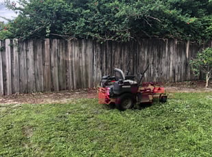 Sondra M.'s Bush Trimming service result