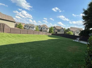 Sheila S.'s turf care service result