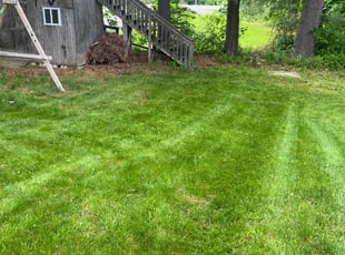 John M.'s turf care service result