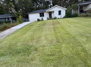 Wayne O.'s lawn care service result