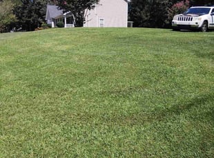 Randy B.'s lawn service service result