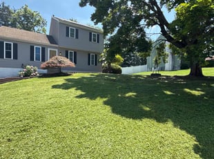 Achirangshu D.'s lawn service service result