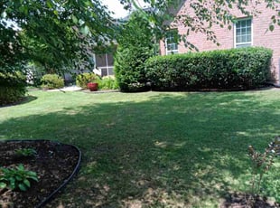 Eula R.'s turf care service result