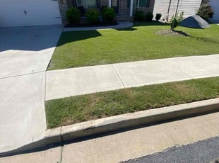 Rachael C.'s turf maintenance service result