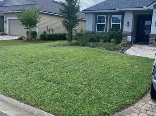 Joseph B.'s turf maintenance service result