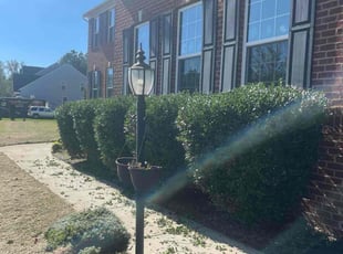 Karla S.'s lawn care service result