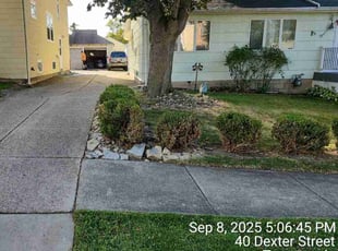 Chris F.'s lawn care services service result