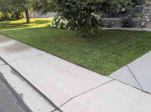 Kari T.'s lawn service service result