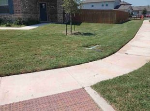 Dennis S.'s turf maintenance service result