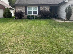 Fany C.'s grass cutting service result