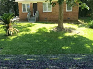 Melissa V.'s lawn care service result