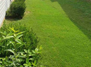 John H.'s turf maintenance service result