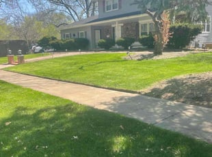 George H.'s lawn service service result