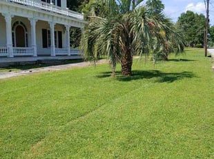 Darnisha C.'s lawn care services service result
