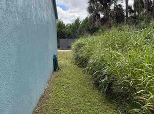 Maria H.'s lawn care service result