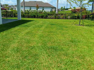 Karey H.'s lawn service service result