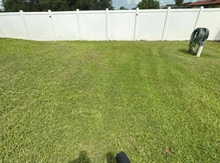 Jennifer R.'s lawn care services service result