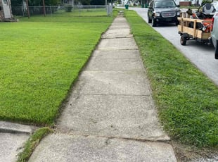Guillermo G.'s turf care service result