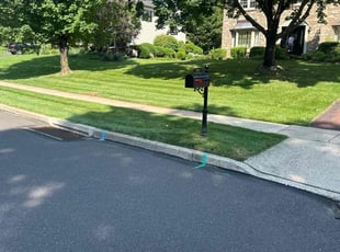 Tom T.'s lawn maintenance service result