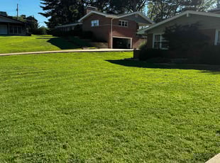 HANNAH H.'s lawn maintenance service result