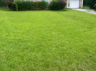 Jessica W.'s yard care service result