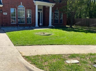 Carla F.'s grass maintenance service result