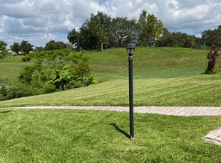 Pamela H.'s grass maintenance service result