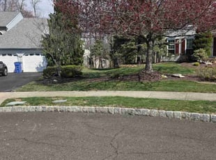 Michael D.'s lawn care service result