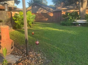 Skyy W.'s grass maintenance service result