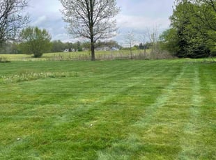 Adam G.'s lawn care services service result