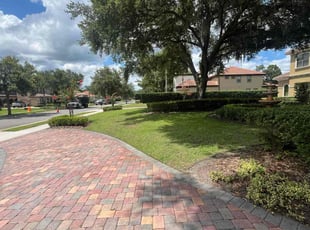 Darlene M.'s grass cutting service result