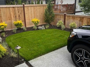Riley A.'s turf care service result