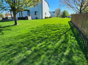 William S.'s turf maintenance service result