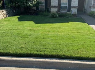 Julie M.'s lawn maintenance service result