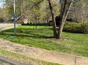 Vasila M.'s turf maintenance service result